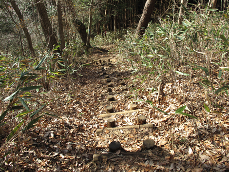 20161229hike (210)